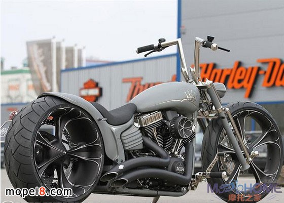 ThunderbikeƹĦ܇Nickel Rocker